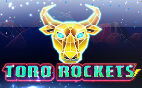 Toro Rockets Toro Rockets